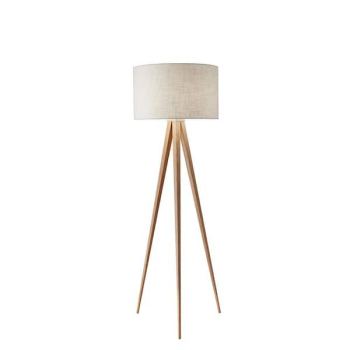 Adesso Director Floor Lamp