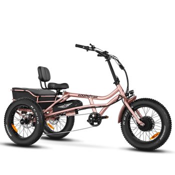 Addmotor M-360 Semi-Recumbent Electric Trike
