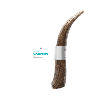 Pet Parents Gnawtlers Moose Antler Dog Chew