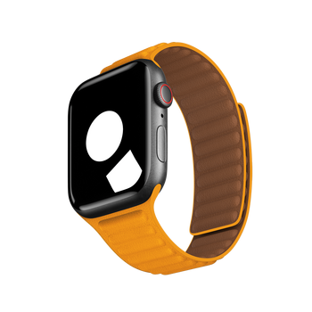 Apple Leather Link