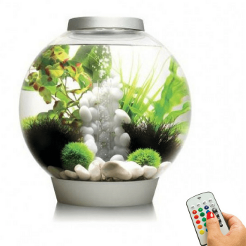 BiOrb Classic Aquarium Kit