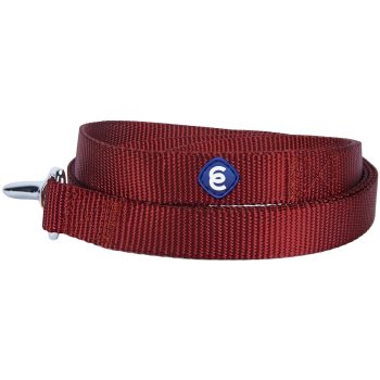 Blueberry Pet Reflective Dog Collar