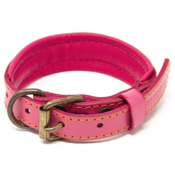 Didog Leather Custom Dog Collar