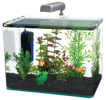 Penn-Plax Water-World Radius Desktop Aquarium Kit