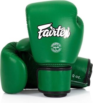 Fairtex Muay Thai Boxing Gloves