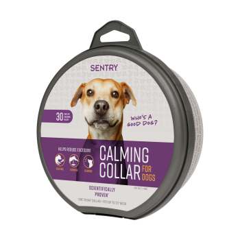 Sentry Calming Collar for Dogs