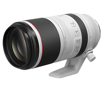 Canon RF 100-500mm f/4.5-7.1L IS USM