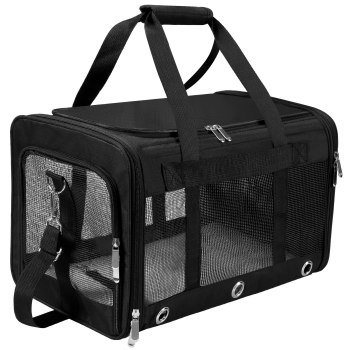 Amazon Basics Soft-Sided Mesh Pet Travel Carrier
