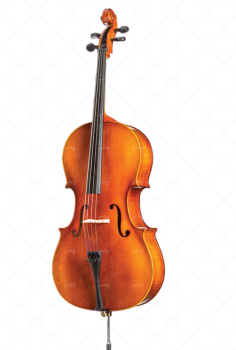 D Z Strad Model 101