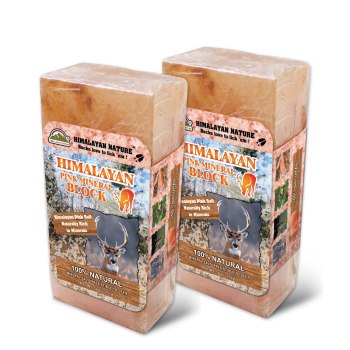 Himalayan Nature Salt Lick