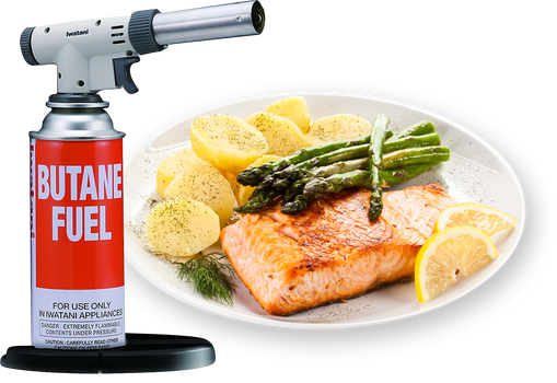 Iwatani PRO2 Culinary Torch