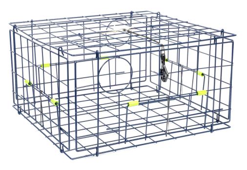 Danielson Pacific FTC