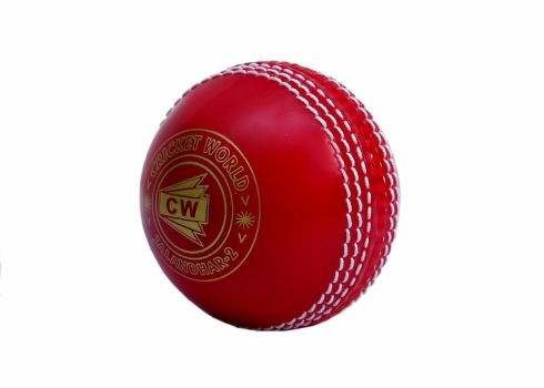 CW Soft Cricket Ball