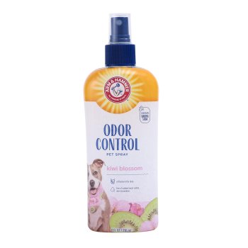 Arm & Hammer Super Deodorizing Spray