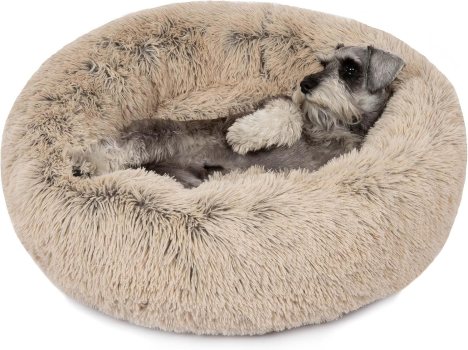 Friends Forever Luxury Plush Dog Bed