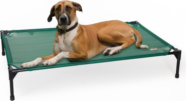 K&H Pet Products Eco-Friendly Dog Bed