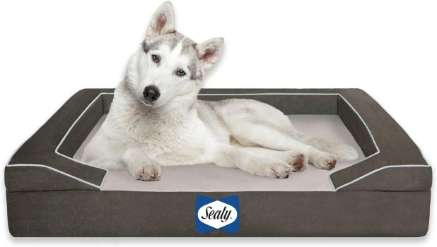 Sealy Cooling Gel Bed