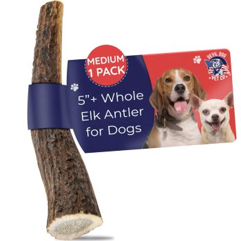 Devil Dog Pet Co. Natural Elk Antler Chews
