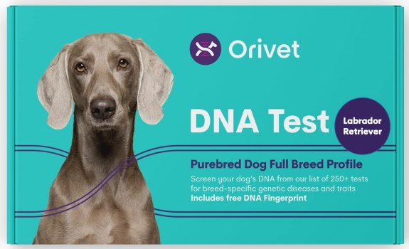 Orivet Dog DNA Test
