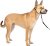 PetSafe Gentle Leader