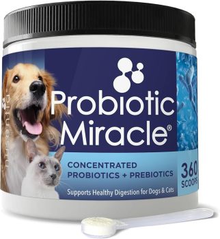 NUSENTIA Probiotic Miracle