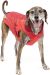 Kurgo North Country Dog Coat