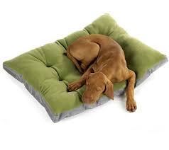 Bowsers Eco-Futon Dog Bed