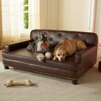 Enchanted Home Pet Library Sofa