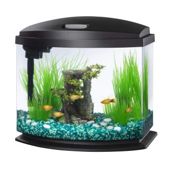 Aqueon LED MiniBow 5 Gallon Aquarium Kit