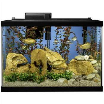 Tetra 20 Gallon Complete Aquarium Kit