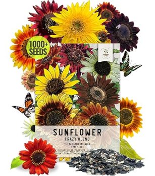 David's Garden Seeds Sunflower Collection