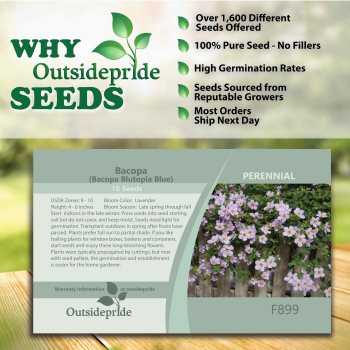 Outsidepride Lavender Seed Pack