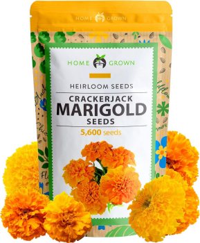 Seed Needs Marigold Seed Pack