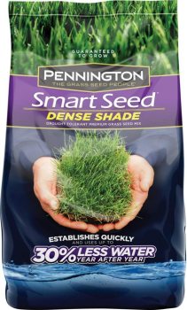 Pennington Smart Seed Dense Shade