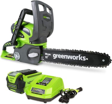 Greenworks 8-Inch 40V