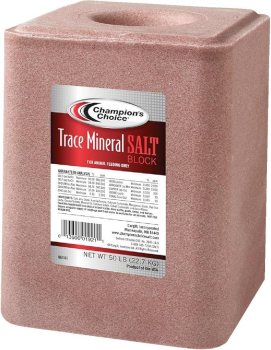 Champion’s Choice Trace Mineral Salt Block