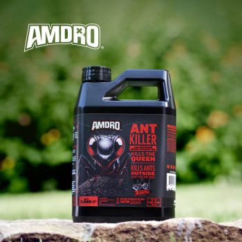 Amdro Ant Block