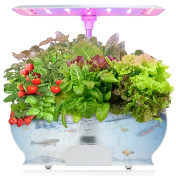 Moistenland Hydroponics Growing System