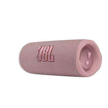 JBL Flip 6