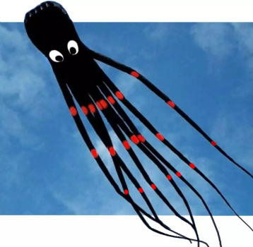 Amazona's Presentz Octopus Kite