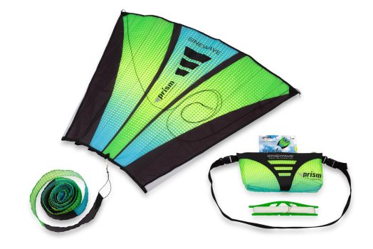 Prism Kite Technology Large Delta Kite
