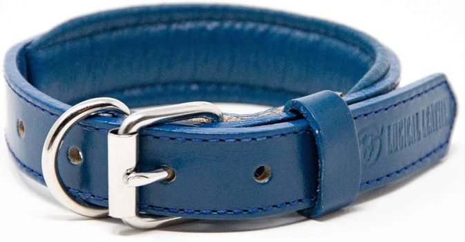 Logical Leather Padded Dog Collar