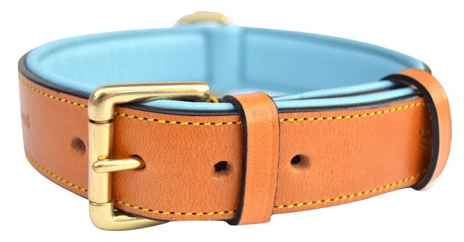 Soft Touch Collars Leather Two-Tone Padded Collar