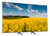 LG OLED65C3PUA