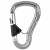 Black Diamond RockLock Carabiner