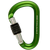Black Diamond RockLock Carabiner