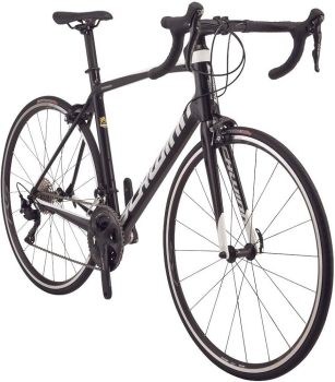 Schwinn Fastback Carbon Road Bike