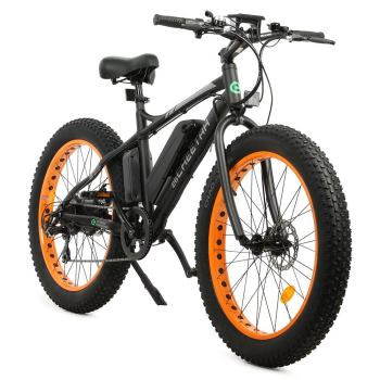 ECOTRIC Fat Tire Electric Bike