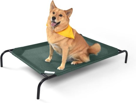 Coolaroo Elevated Pet Bed