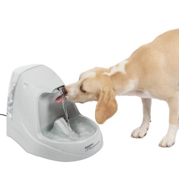 PetSafe Drinkwell Platinum